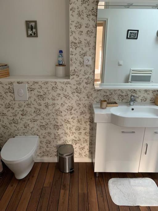 Appartement Duplexcoeur De Ville 梅斯 外观 照片